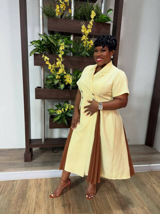 Kokobella Color Block Pleated Detail Dress