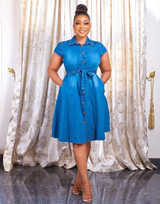 Toni Plus Denim Dress