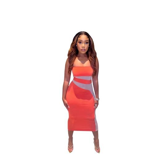 Ida Mesh Panel Midi Dress
