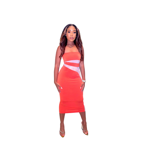 Ida Mesh Panel Midi Dress