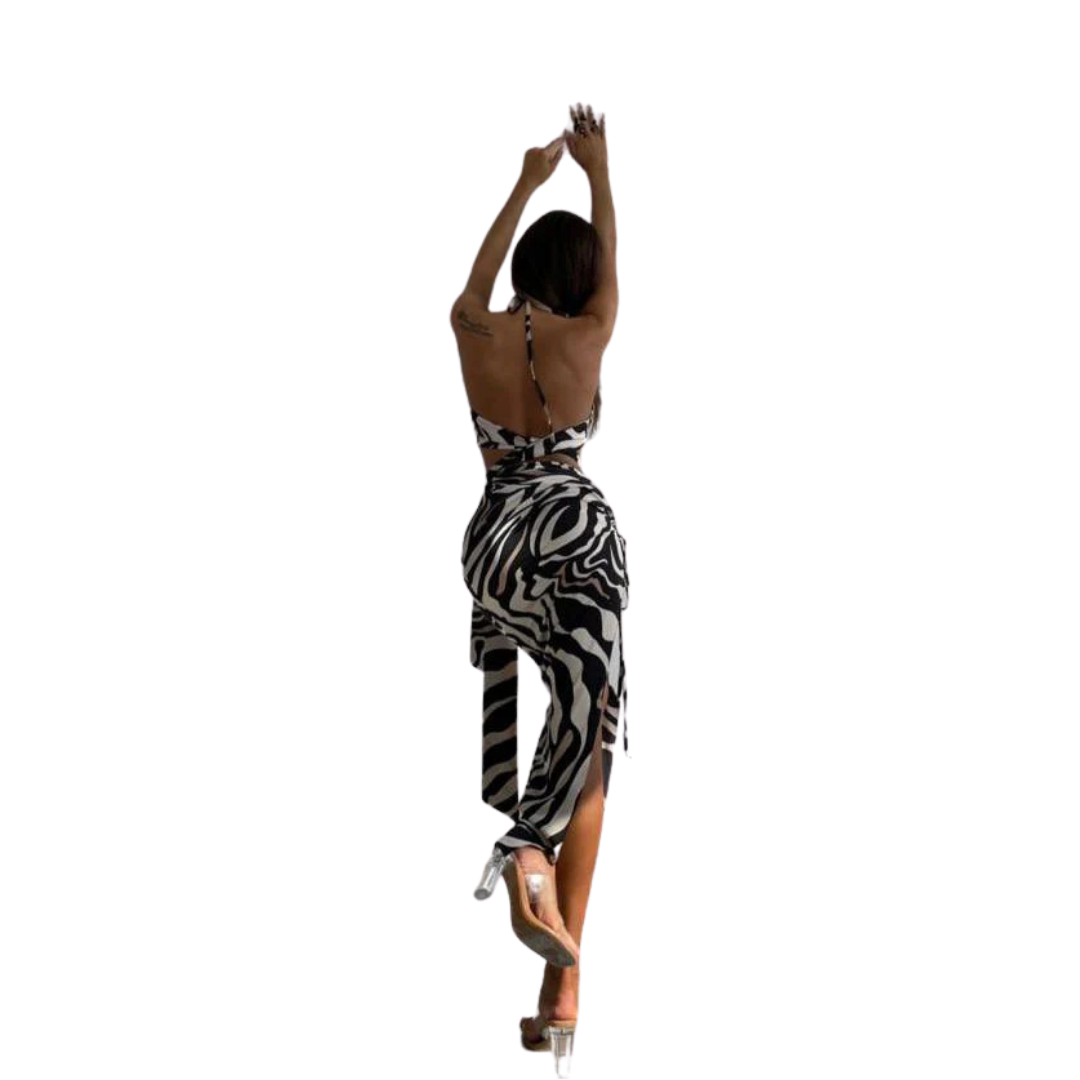 Monaco Zebra Skirt Set