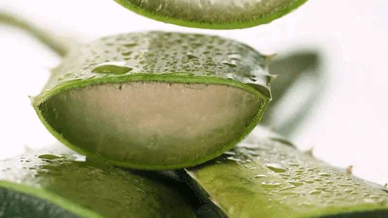 Health & Wellness
