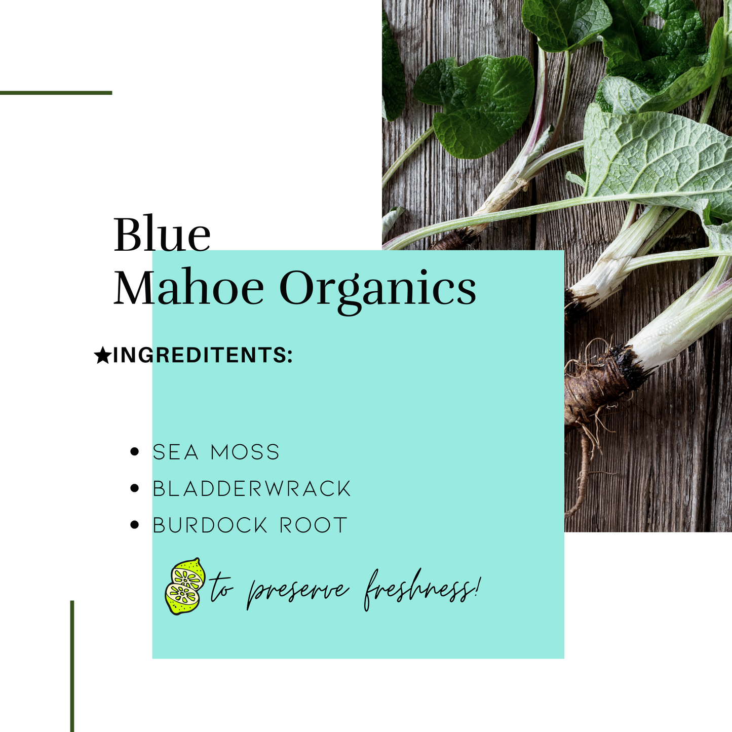 Bladderwrack & Burdock Root Sea Moss Gel